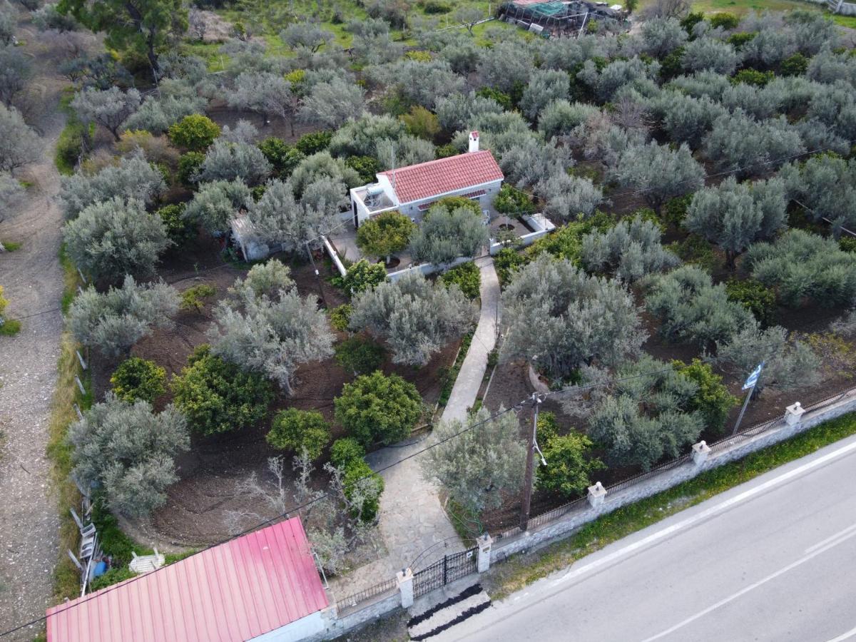 Villa Kavalino Kolymbia Exterior photo